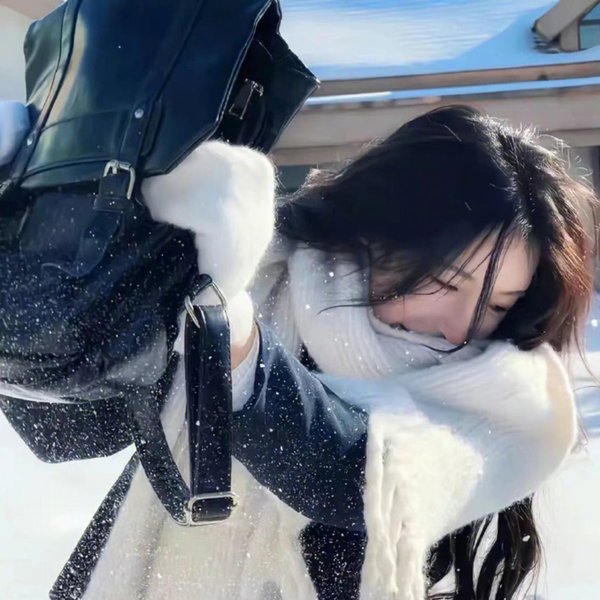 无理之人